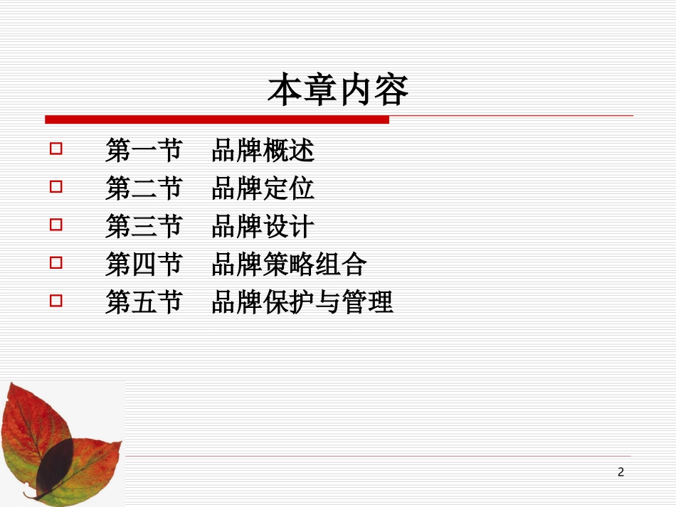 市场营销品牌策略_第2页