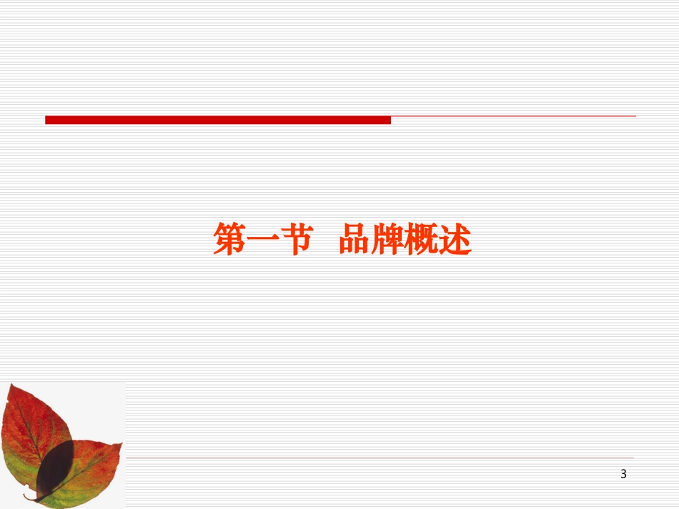 市场营销品牌策略_第3页