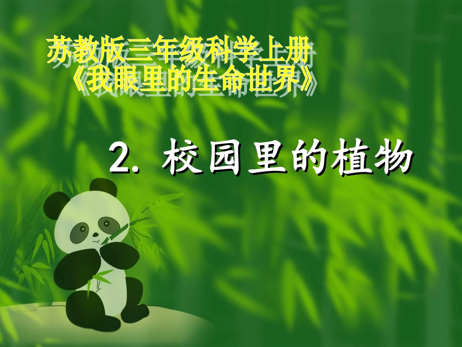 校园里的植物_第1页