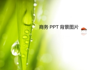 工作PPT背景图片