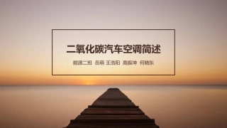 二氧化碳汽车空调简述