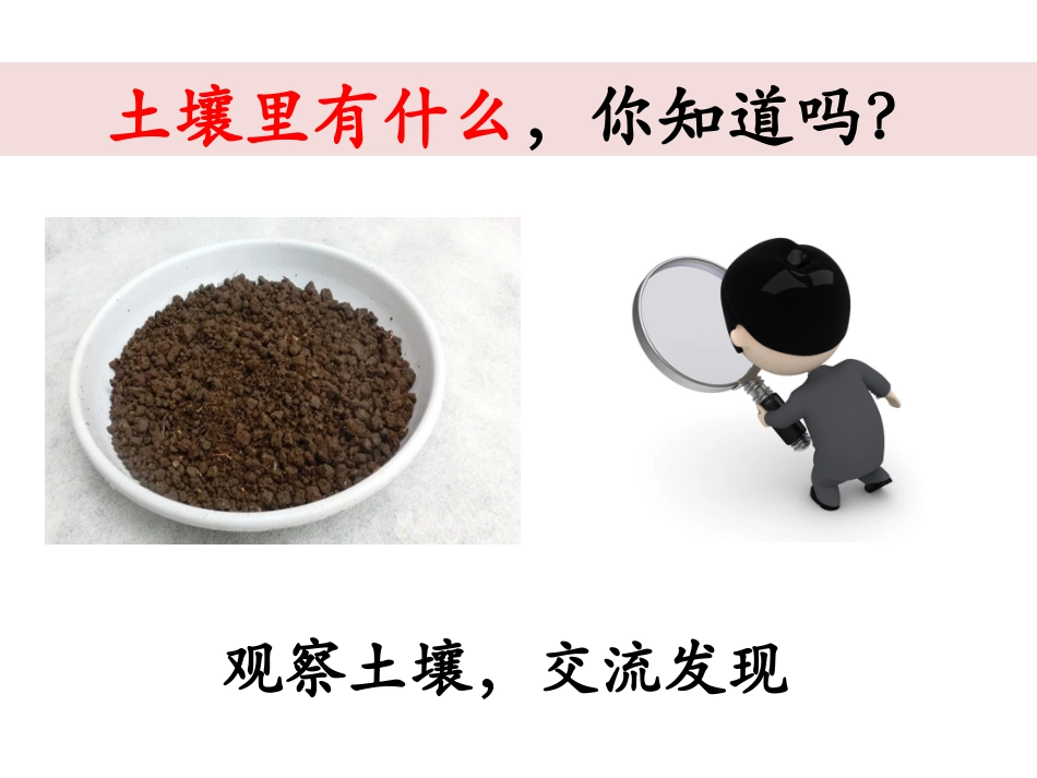 教科版二年级科学1.2土壤——动植物的乐园课件_第2页