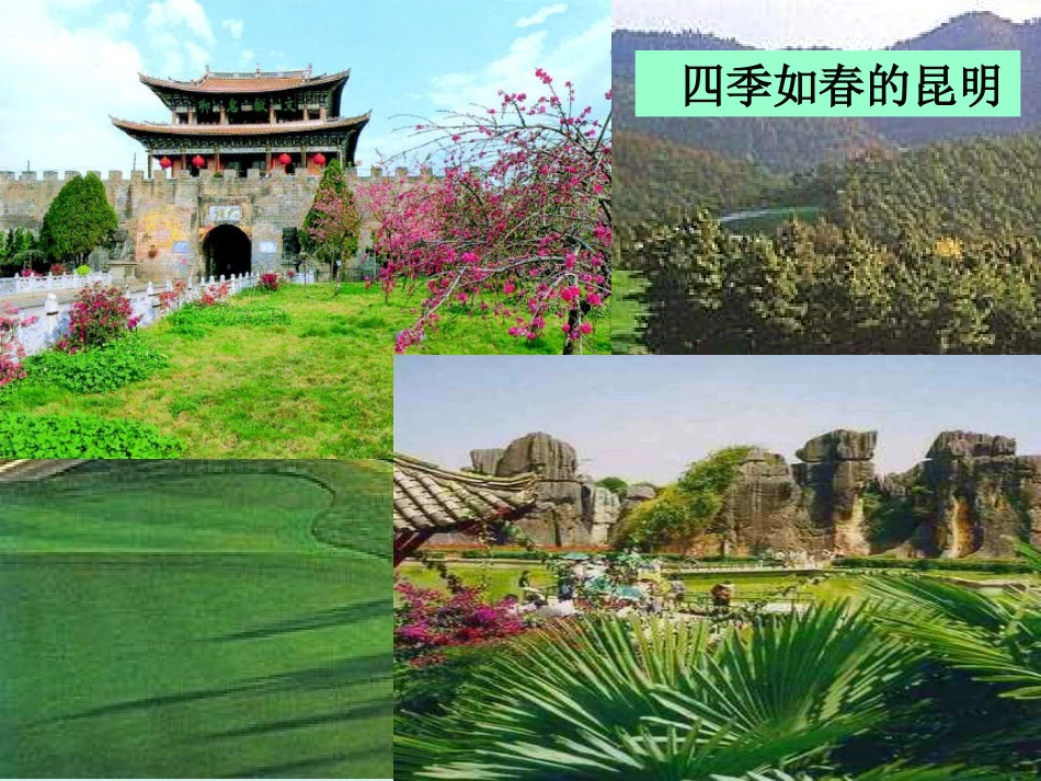 历史与社会——气象万千_第2页