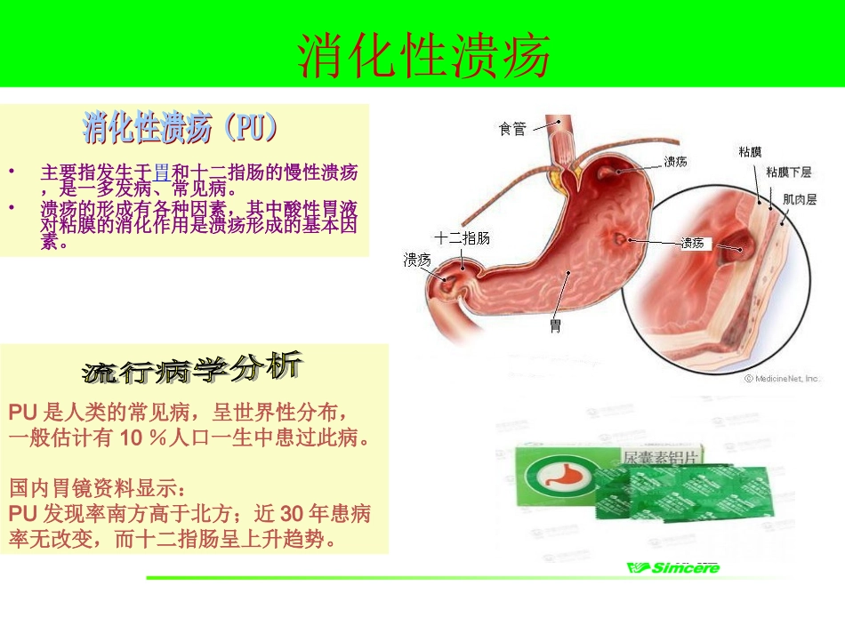 尿囊素铝欧迪佳 (2)_第3页