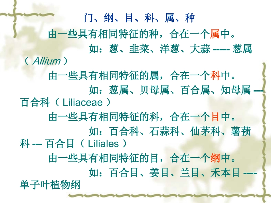 植物学ppt_第3页