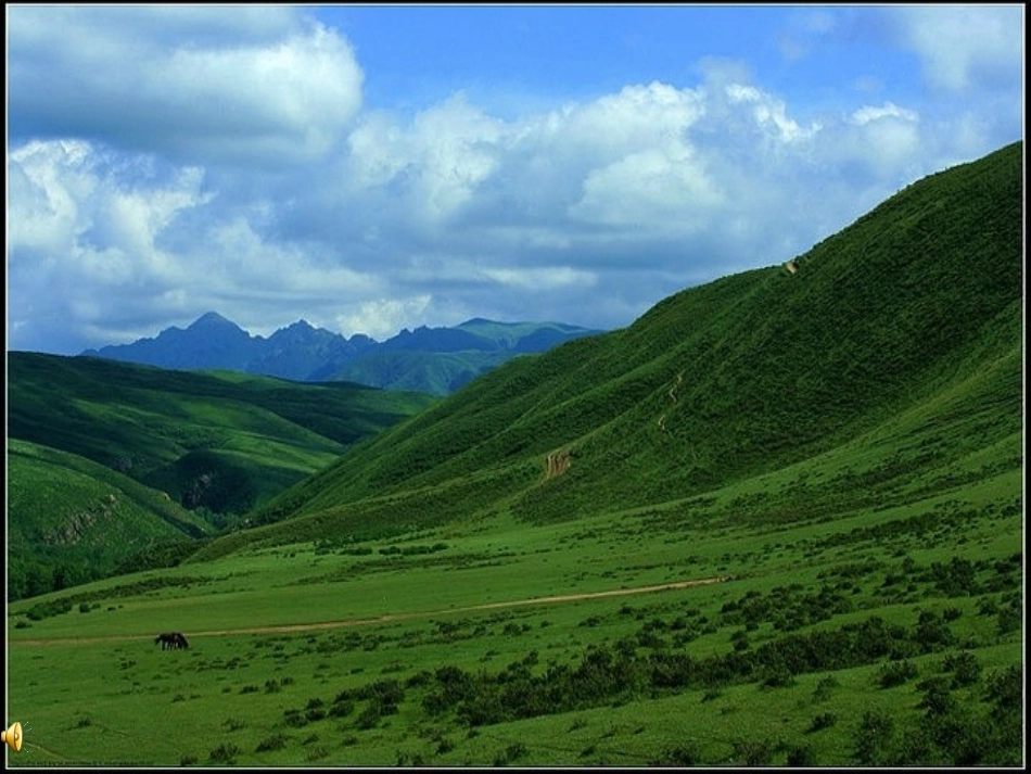 牧场上的家-课件_第2页