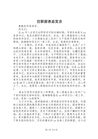 任职前表态发言