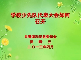 学校如何召开少代会幻灯片 (2)