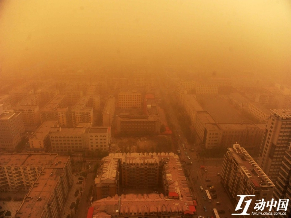 植树问题 优质课课件_第2页