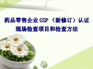 零售药店GSP现场检查条款(打印版)