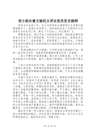 党小组长兼文秘民主评议党员发言提纲