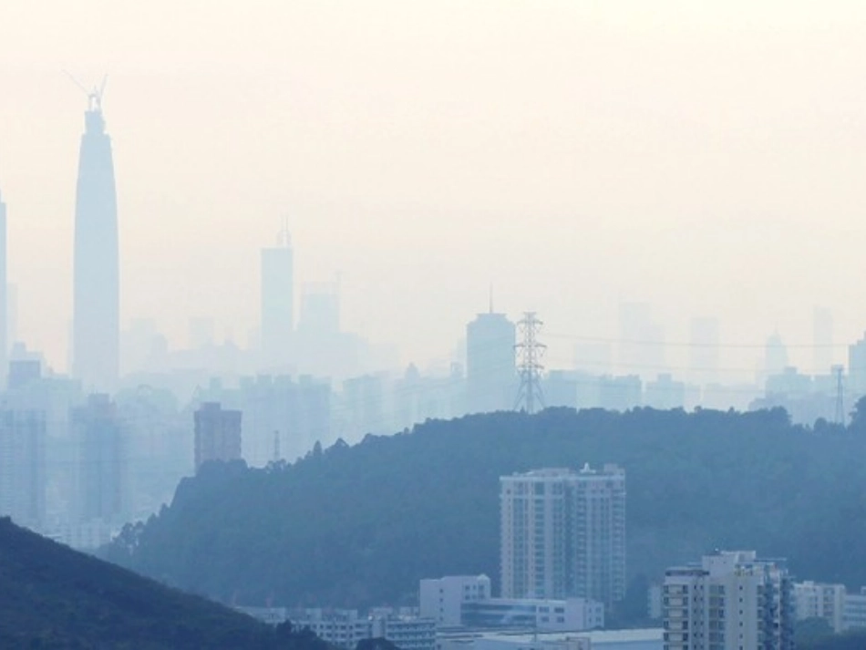 深圳市绿地系统规划_第2页