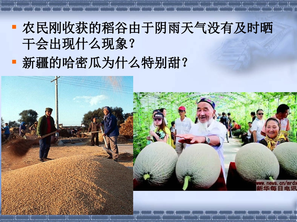 植物的呼吸作用_第2页