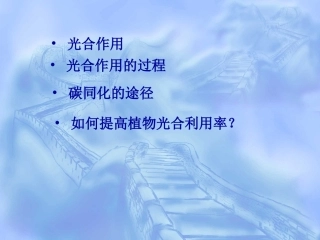 植物的呼吸作用