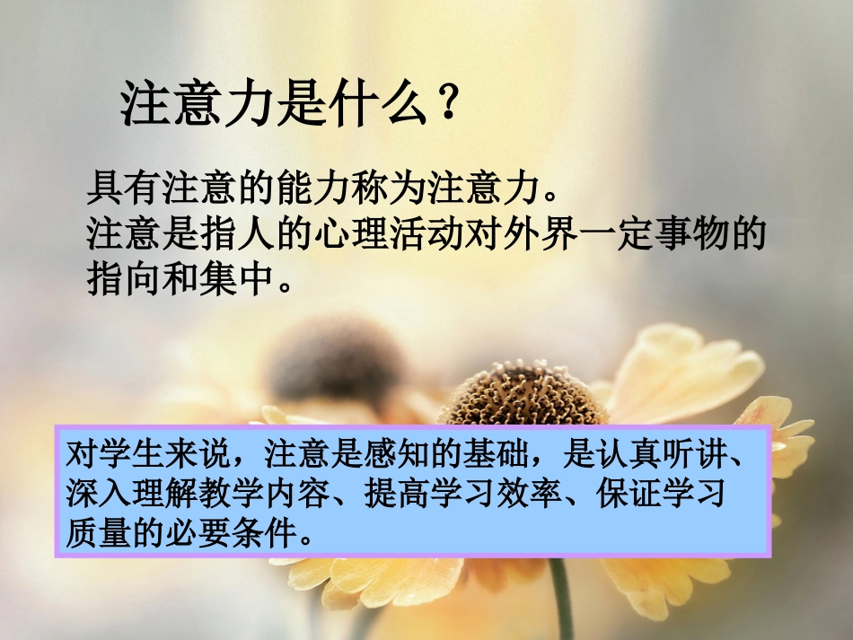 高效课堂：如何吸引孩子的注意力_第2页