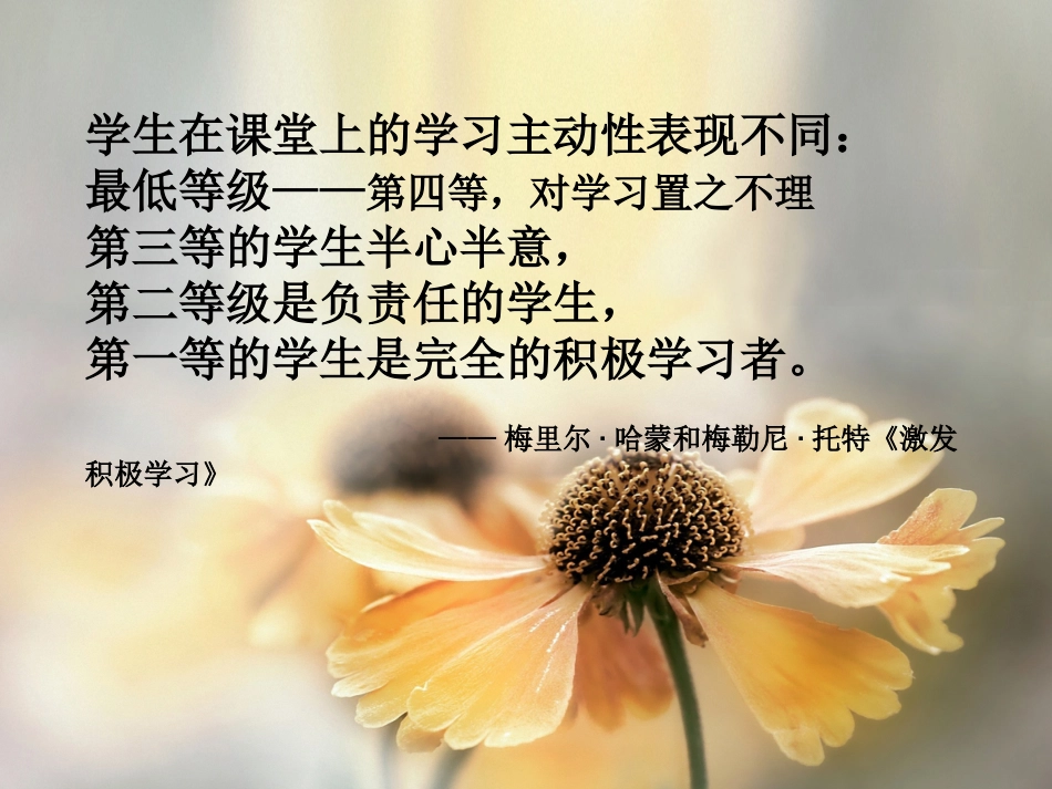 高效课堂：如何吸引孩子的注意力_第3页