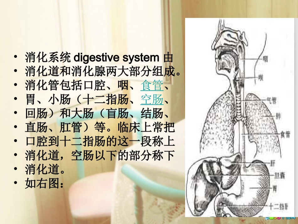 消化道穿孔护理查_第2页
