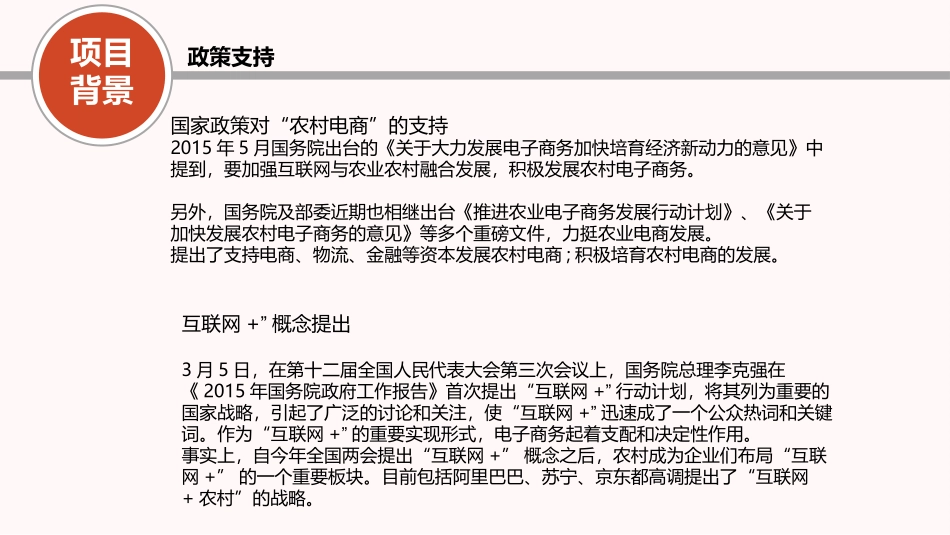 农村电子商务建设方案_第3页