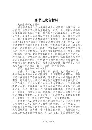 陈书记发言材料