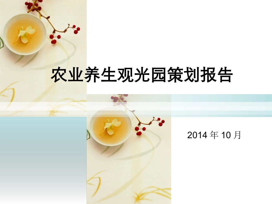 养生农业观光园策划说明书_第1页