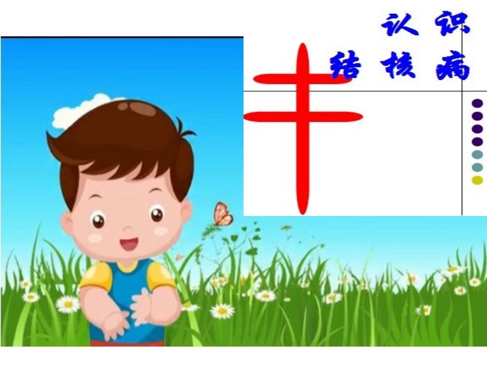 结核病防治课件_第3页