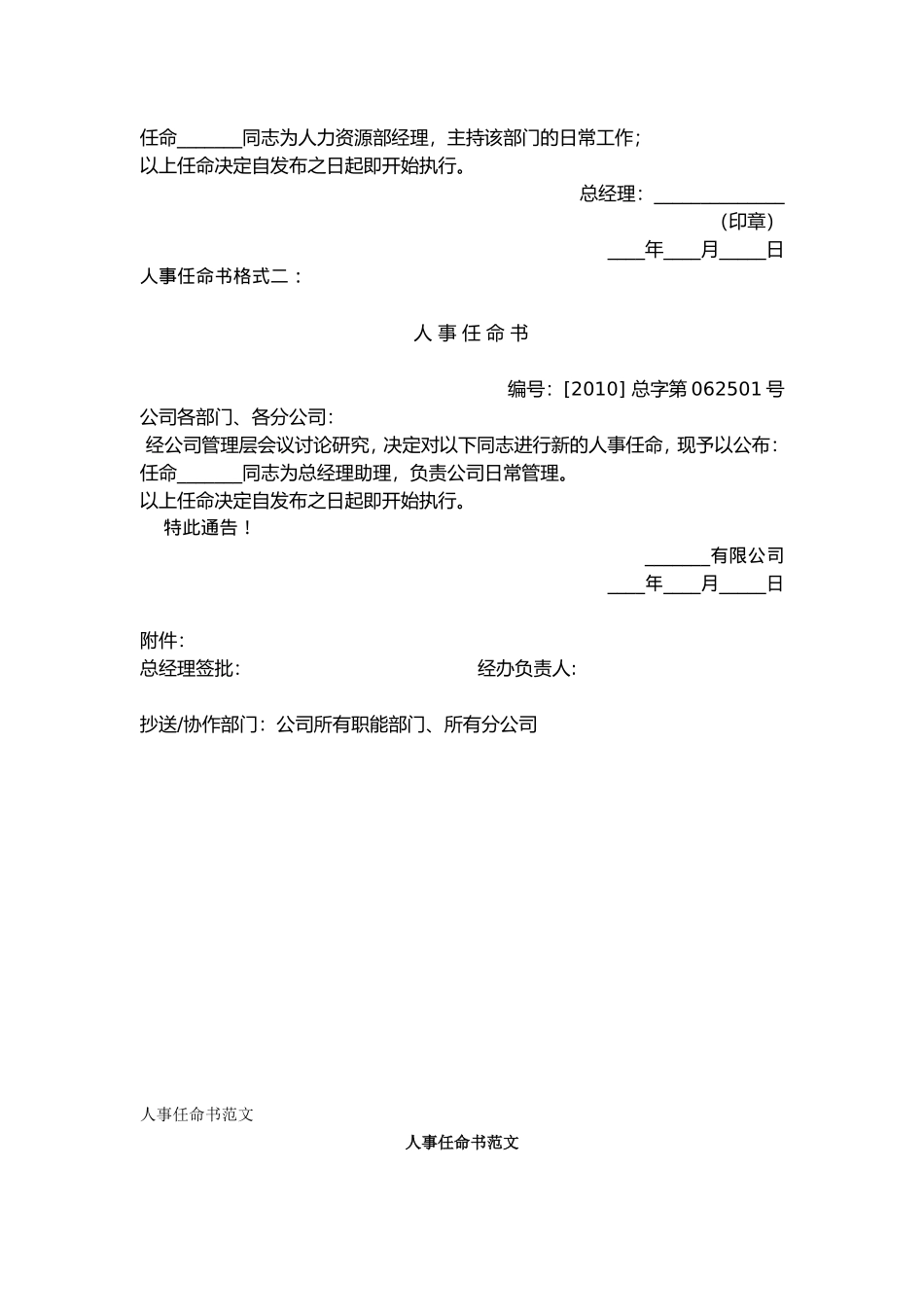 公司人事任命书格式_第3页