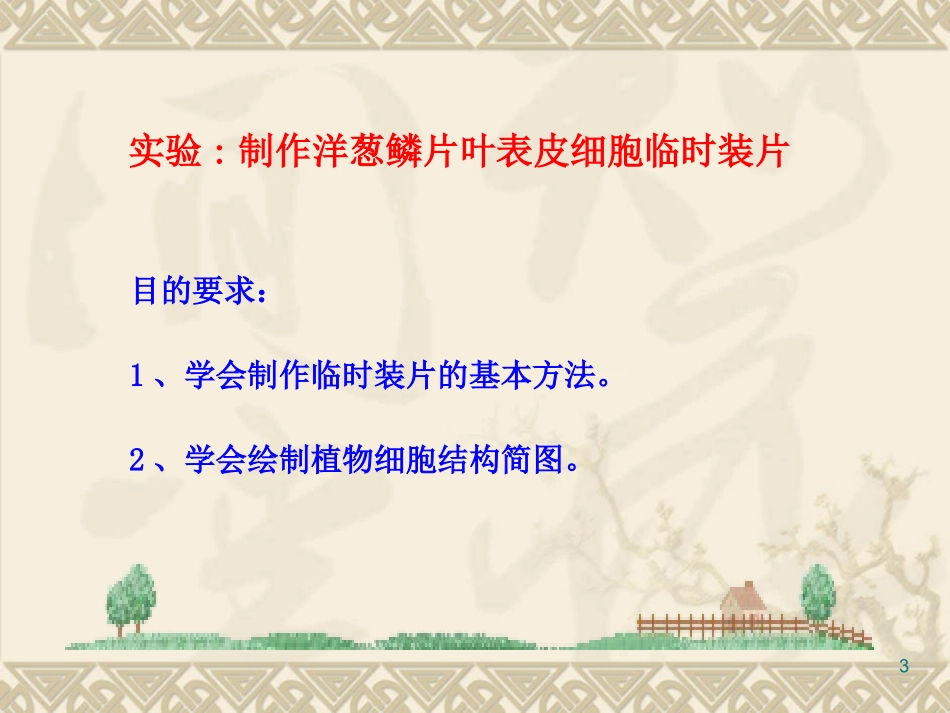 制作和观察洋葱鳞片叶表皮细胞临时装片_第3页