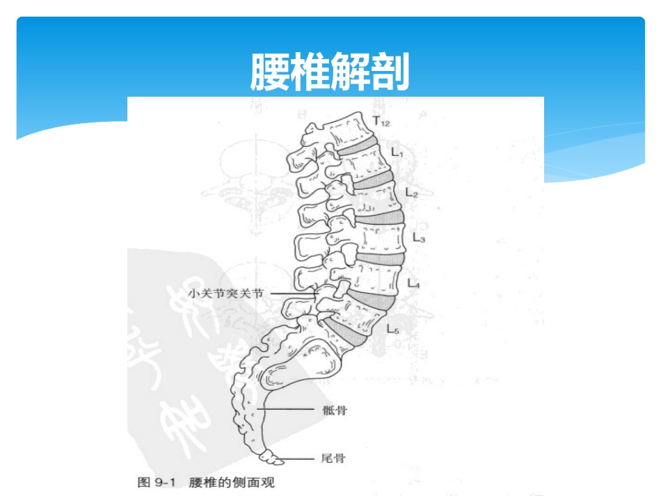 腰椎检查评估_第3页