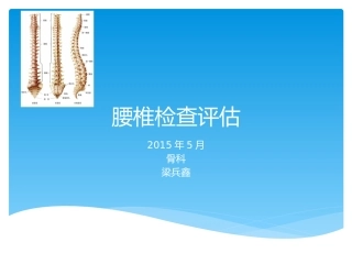 腰椎检查评估