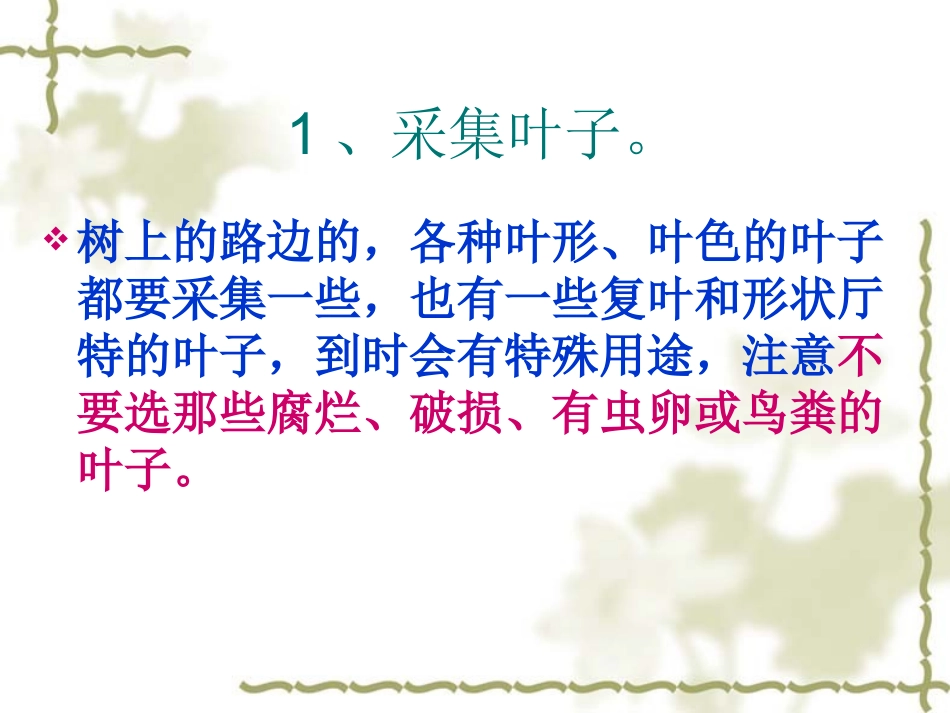 制作叶画 步骤_第2页