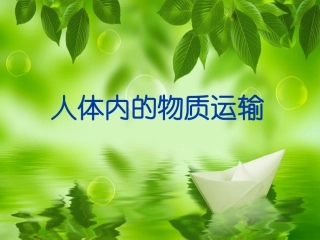 人体内物质的运输-心脏