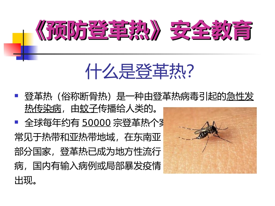预防登革热安全教育ppt_第2页