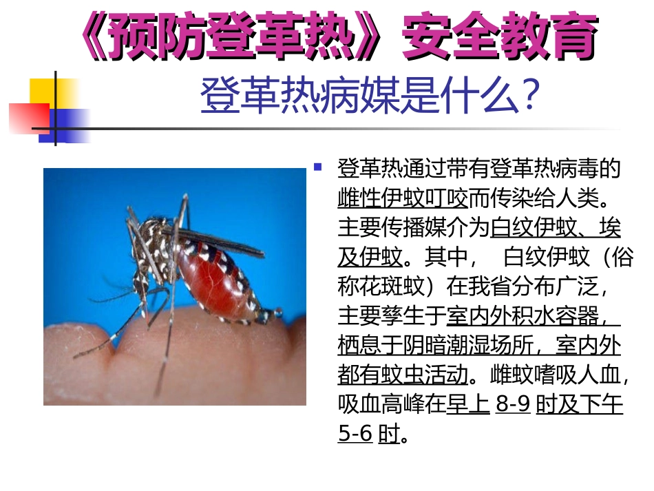 预防登革热安全教育ppt_第3页