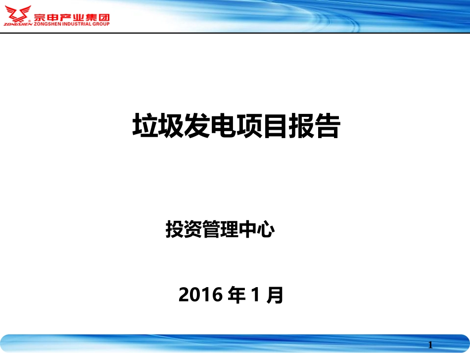 垃圾发电项目_第1页