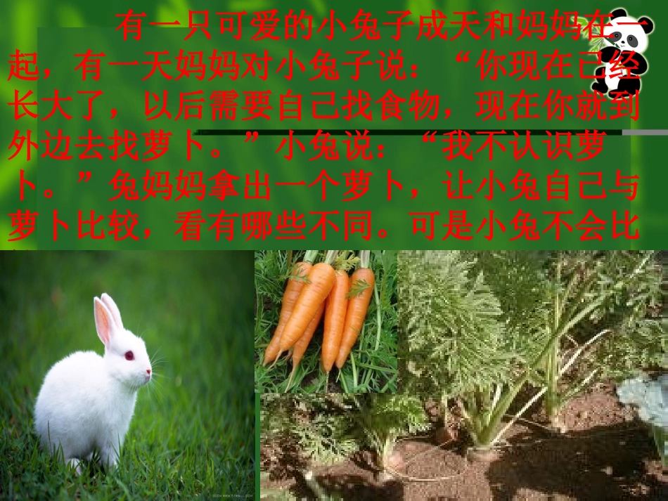 苏教版小学科学三年级上册《动物植物人》PPT课件_第3页