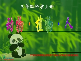 苏教版小学科学三年级上册《动物植物人》PPT课件