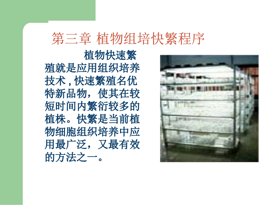 植物组培快繁程序_第1页