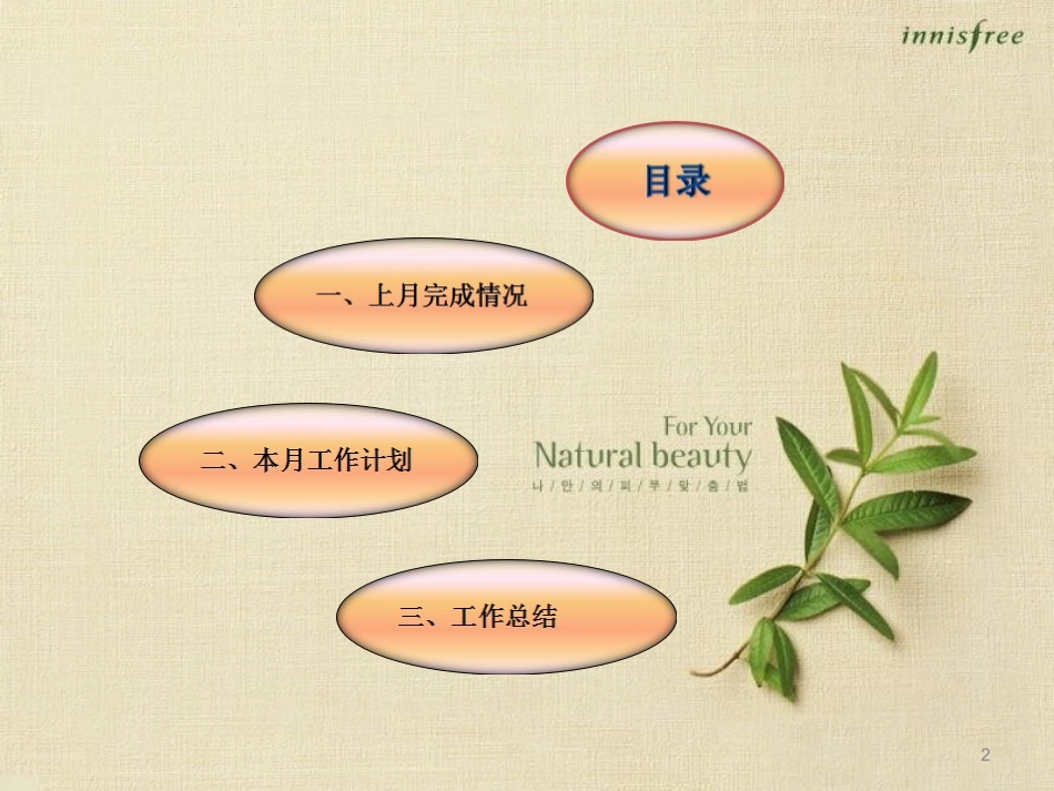 工作月报 模板_第2页