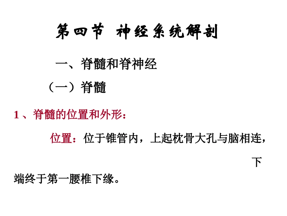 神经系统解剖_第1页