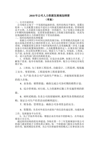 年公司人力资源发展规划纲要