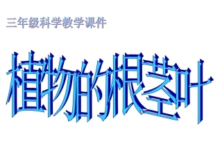 小学三年级科学课件植物的根茎叶