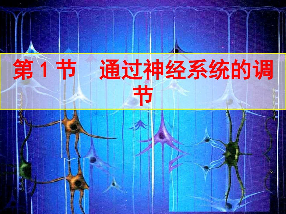 神经系统的结构和功能_第1页