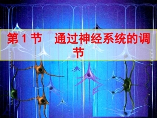 神经系统的结构和功能