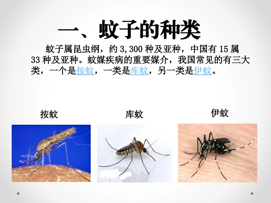 预防登革热 主题班会_第3页