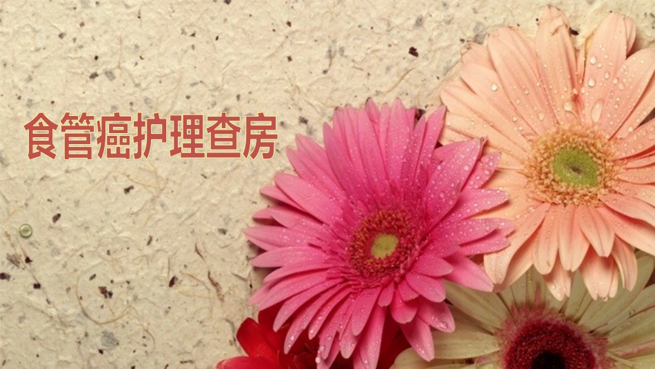 食管癌护理查房L_第1页