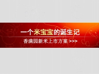 中国大米营销典范——新品发布品牌推广方案