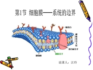 细胞膜——系统的边界说课稿