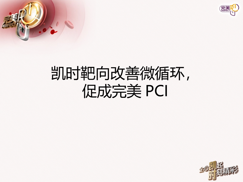 凯时改善微循环,促成完美PCI科室会幻灯_第2页