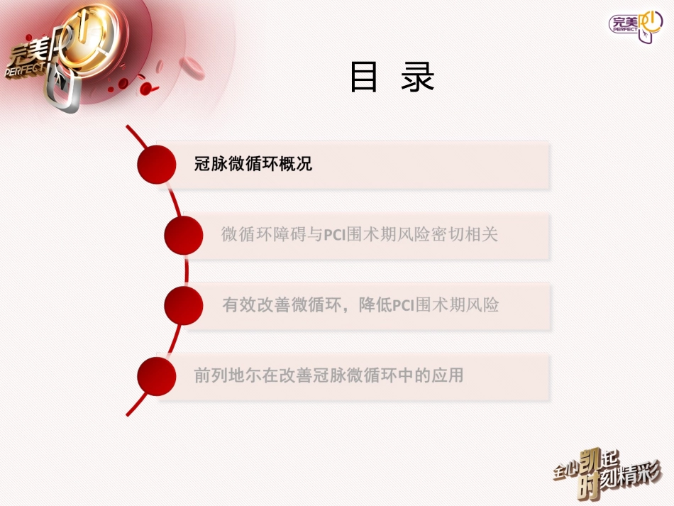 凯时改善微循环,促成完美PCI科室会幻灯_第3页
