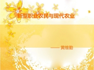 新型职业农民与现代农业